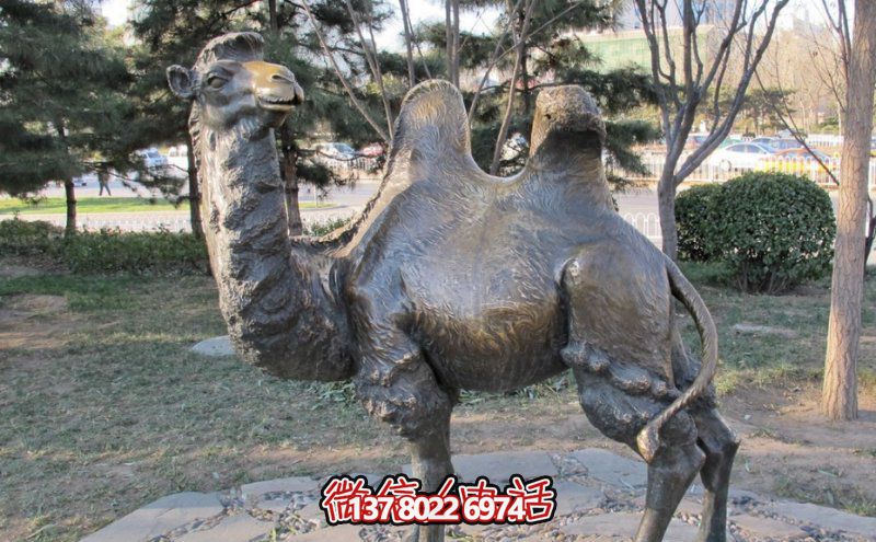 創(chuàng  )意大型玻璃鋼駱駝雕塑，在草地上擺放，一眼回頭