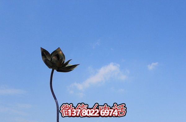 創(chuàng  )意荷花銅鑄雕塑