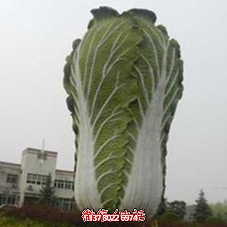 農場(chǎng)大型玻璃鋼仿真蔬菜大白菜